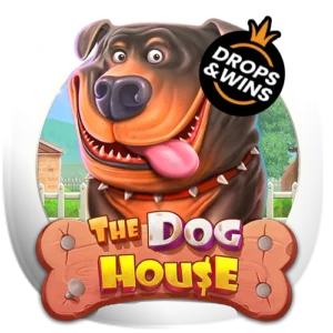 the-dog-house